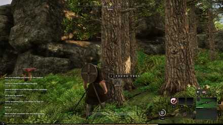 New World - Young Tree Trunk