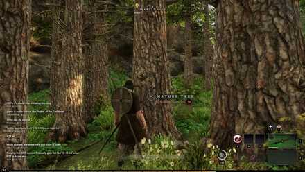 New World - Mature Tree Trunk