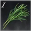 Tarragon