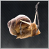Snail Bait Icon
