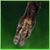 Boar Hoof Icon