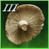 Mushroom Fins Icon