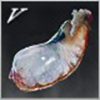 Poison Sac Icon
