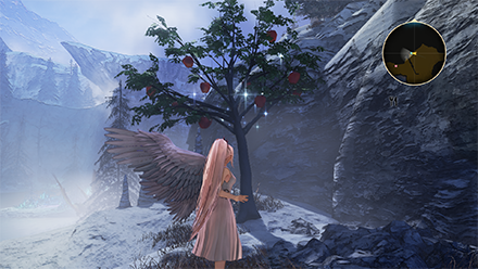 Gourmet Saga: Berry Scavenging Map