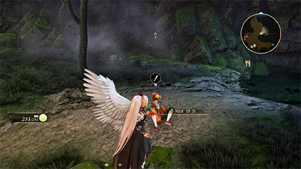 A Healer and Her Patients Map