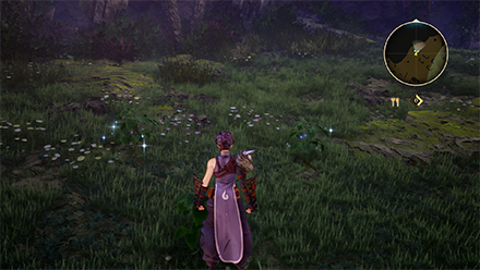 Gourmet Saga: Palace Delicacy Map