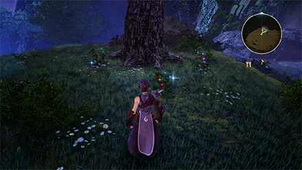 Gourmet Saga: Palace Delicacy Map