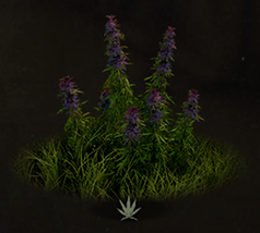 Silkweed Icon