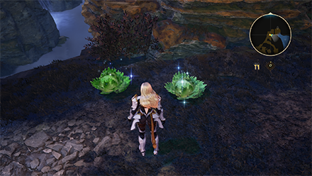 Gourmet Saga: Prairie Scent Map