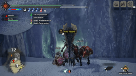 MH Rise - Frost Islands Relic Record #9