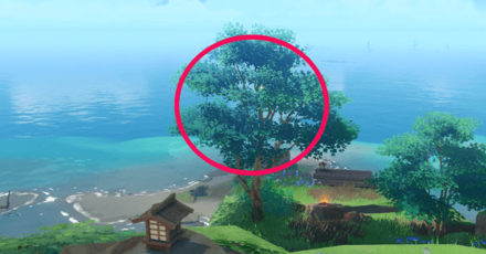 Genshin - The Farmer