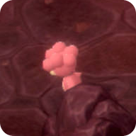 Pokemon BDSP Magby.png