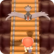 Pokemon BDSP Staraptor