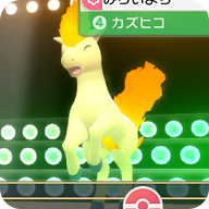 Pokemon BDSP Ponyta