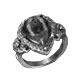 Ring Icon