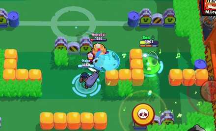 Bushes and Walls - Center Field.jpg