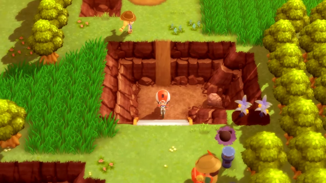 Pokemon BDSP Berry Trees