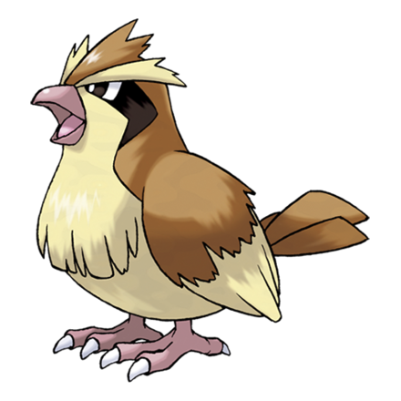 Pidgey Image
