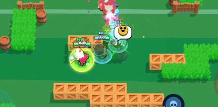 Walls and Bushes - Slalom Slam.jpg