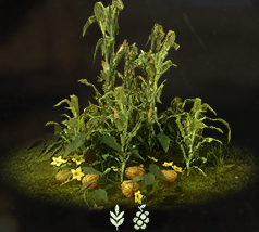 Farm Plants Icon