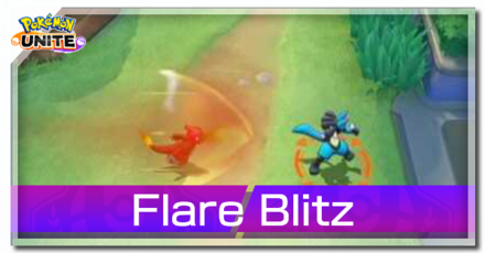 Charizard - Flare Blitz Banner