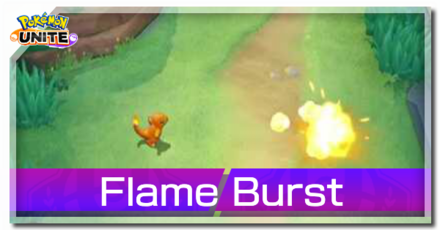 Charizard - Flame Burst Banner