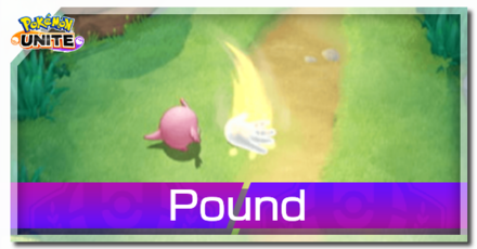 Blissey - Pound Banner
