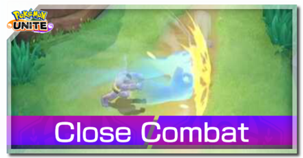Machamp - Close Combat Banner