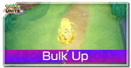Machamp - Bulk Up Banner