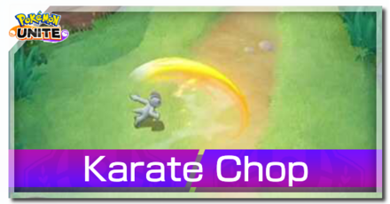 Machamp - Karate Chop Banner