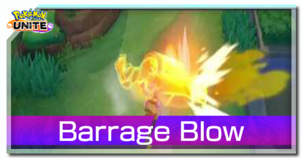 Machamp - Barrage Blow Banner