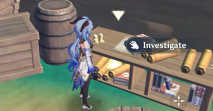 Genshin - Investigate the area