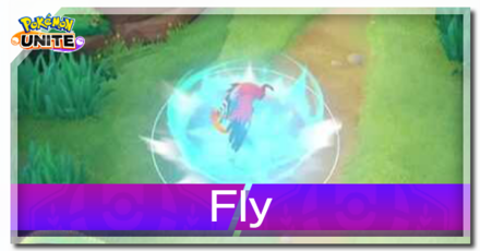 Talonflame - Fly Banner