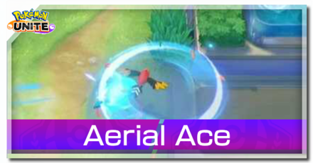 Talonflame - Aerial Ace Banner