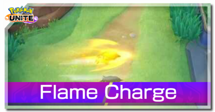 Talonflame - Flame Charge Banner