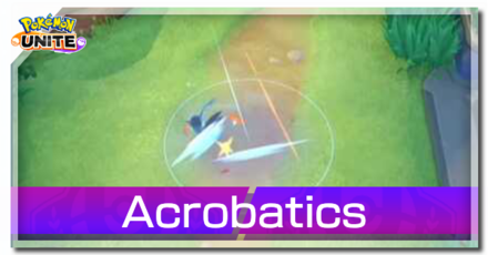 Talonflame - Acrobatics Banner