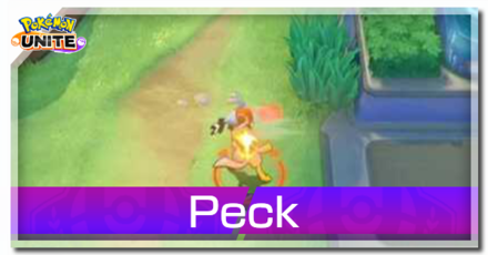 Talonflame - Peck Banner