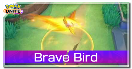 Talonflame - Brave Bird Banner