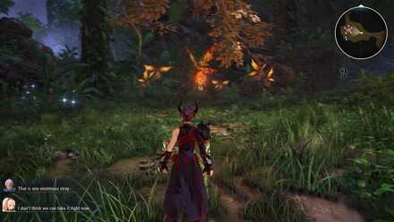 Regent Bee location.jpg