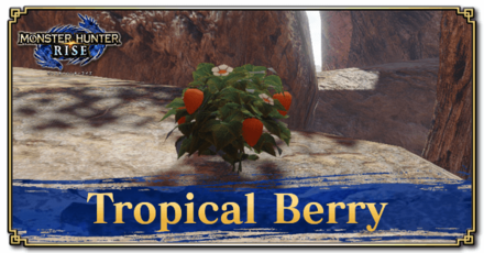 Monster Hunter Rise (MH Rise) - Tropical Berry Banner