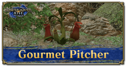 Monster Hunter Rise (MH Rise) - Gourmet Pitcher Banner
