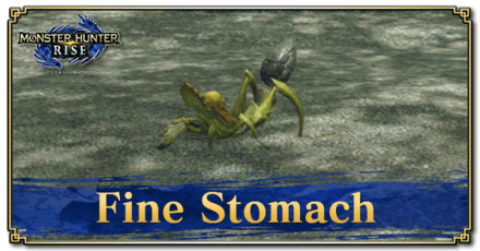 Monster Hunter Rise (MH Rise) - Fine Stomach Banner