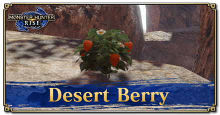 Monster Hunter Rise (MH Rise) - Desert Berry Banner