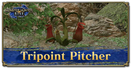 Monster Hunter Rise (MH Rise) - Tripoint Pitcher Banner