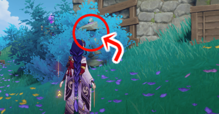 Genshin - Hidden Lamp on Day 5