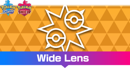 Wide Lens Effect and How to Get It