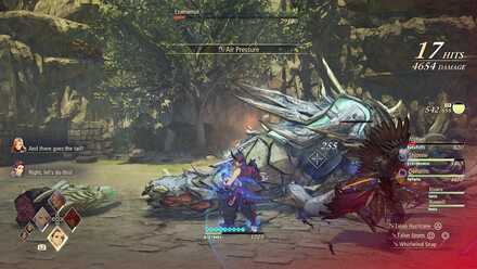 Focus on its tail.jpg