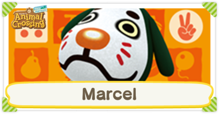Animal Crossing: New Horizons (ACNH) - Marcel