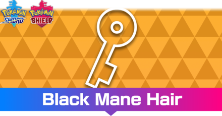 Black Mane Hair Effect and How to Get It