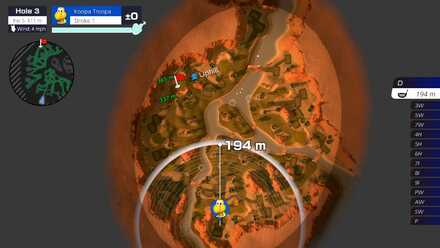 Spiky Palms Hole 3.jpg